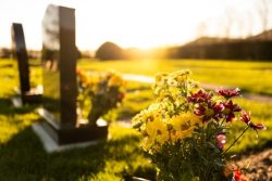 Dusk,At,A,Winter's,English,Cemetery,Seen,With,In-focus,Flowers
