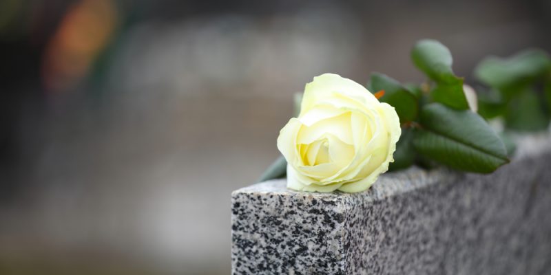 White,Rose,On,Grey,Granite,Tombstone,Outdoors,,Space,For,Text.