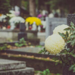 Bouquet,Of,Colorful,Flowers,During,Christian,All,Saints,Day,Event